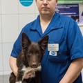 Фотография специалиста Колмаков Сергей Сергеевич