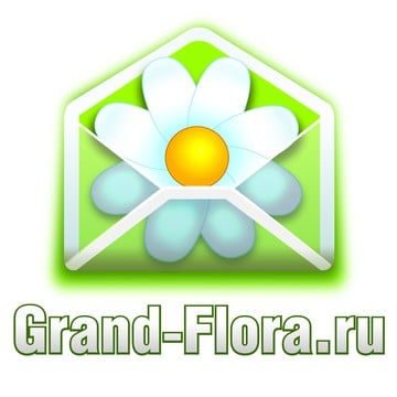 Доставка цветов Гранд Флора (ф-л г. Котельники) фото 1