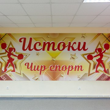 Школа танцев и чир спорта Истоки на проспекте Бумажников фото 1