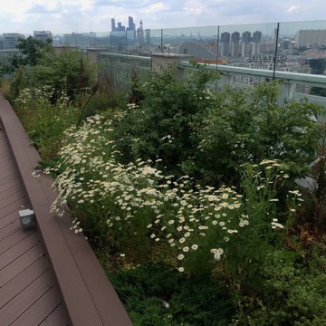 Pro Drain фото 1