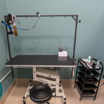 Спа салон для собак и кошек Цацагрум фото 2