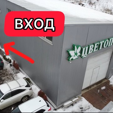 ЦВЕТОПТТОРГ фото 3