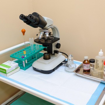 Ветеринарная клиника Доктор Зоо в Октябрьском районе фото 2