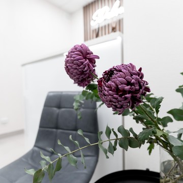 Стоматологическая клиника SD-clinic фото 3