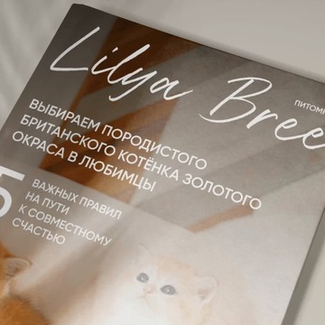 Питомник золотых британских кошек «Lilya Bree» фото 1