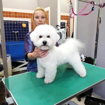 Студия груминга Chapa-groom фото 3