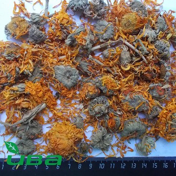 ИВА на улице Ленина фото 2