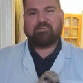Фотография специалиста Воронцов Кирилл Петрович