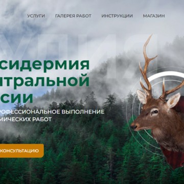 СТУДИЯ Таксидермия Центральной России фото 1
