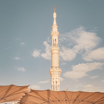 MARWA PREMIUM фото 3