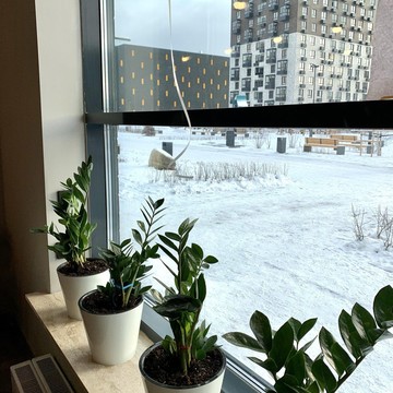 Петергофские Пекарни на Орлово-Денисовском проспекте фото 2