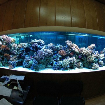 Подводный мир: изготовление и продажа аквариумов фото 2