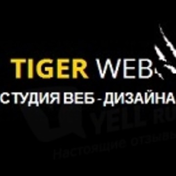 Студия веб-дизайна Web Tiger фото 1