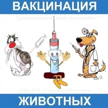 Ветеринарная клиника МИР фото 3