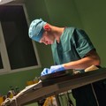 Фотография специалиста Рожков Алексей Васильевич