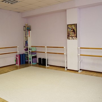 Спортивный клуб по эстетической гимнастике Prima на Московском проспекте фото 2