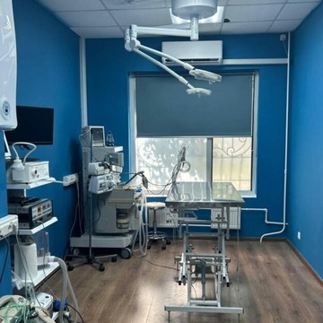 Ветеринарная клиника Veterinary Diagnostical Medicine фото 3