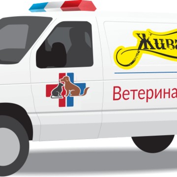 Ветклиника Живая планета фото 3