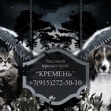 Крематорий для домашних животных Гончарова Александра фото 2