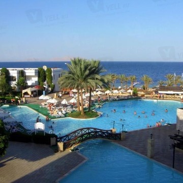 Best Trip фото 3