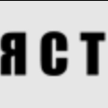 Ястреб фото 1