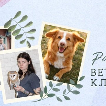 Ветеринарная клиника Pet Lazaret фото 1