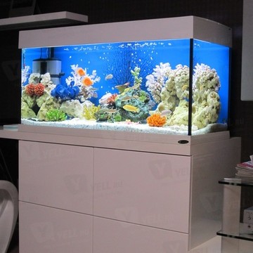 Студия аквариумов Глубина на Телевизорной улице фото 3