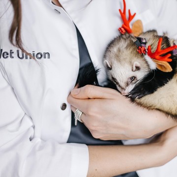 Ветеринарная клиника Vet Union фото 2