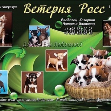 ВЕТЕРИЯ РОСС на Пятницком шоссе фото 1