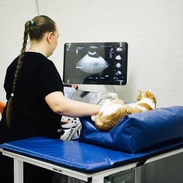 Ветеринарный центр на улице Волоха фото 2