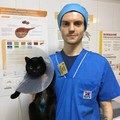 Фотография специалиста Назаров Павел Викторович