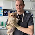 Фотография специалиста Витвицкий Григорий Александрович