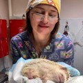 Фотография специалиста Маркина Наталья Александровна