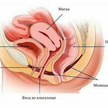 Центр женского развития Ариана фото 2