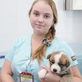 Фотография специалиста Платонова Анастасия Олеговна