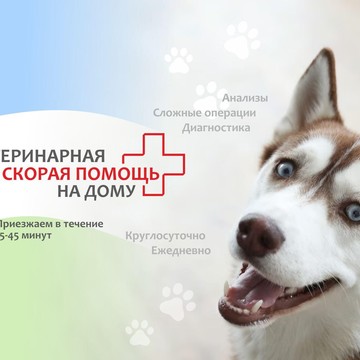 Ветеринарная клиника Vetdocs на Новоалексеевской улице, 12 стр 1 фото 1