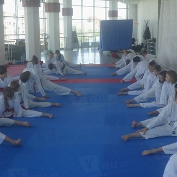Школа каратэ Рекорд в Тольятти фото 1