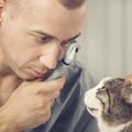 Фотография специалиста Берченко Валерий Викторович