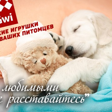 Petropet.ru - товары для животных фото 3