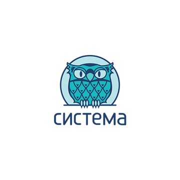 Аудиторская компания СИСТЕМА фото 1