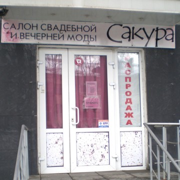 Сакура на улице Бекетова фото 1