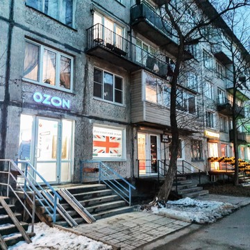 Чистотроник на Будапештской улице фото 1