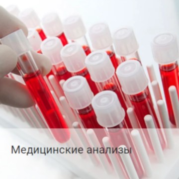 Учебно-оздоровительный центр Ольги Гуреевой фото 2
