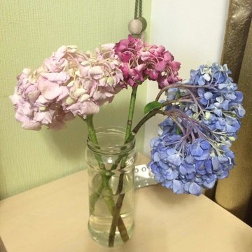 fit-flowers.ru фото 1