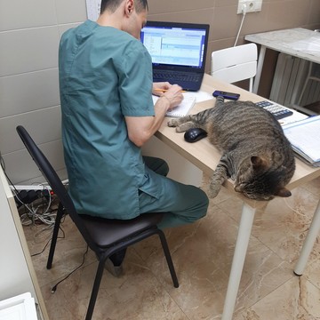 Ветеринарная клиника ДокторВет на проспекте Ибрагимова фото 1