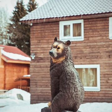 Северное сияние на улице Герцена фото 1