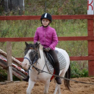 Пони Клуб фото 1