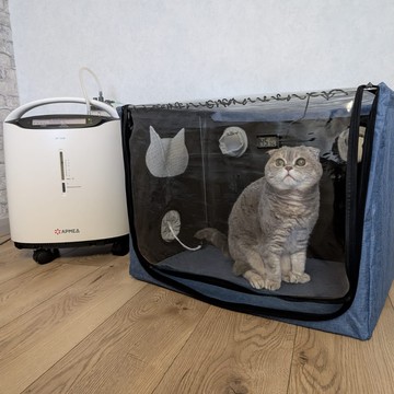 Забота online фото 3