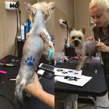 Mobile Photo Upload 952472