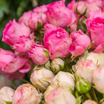 Цветочная мастерская Pink Stork фото 3